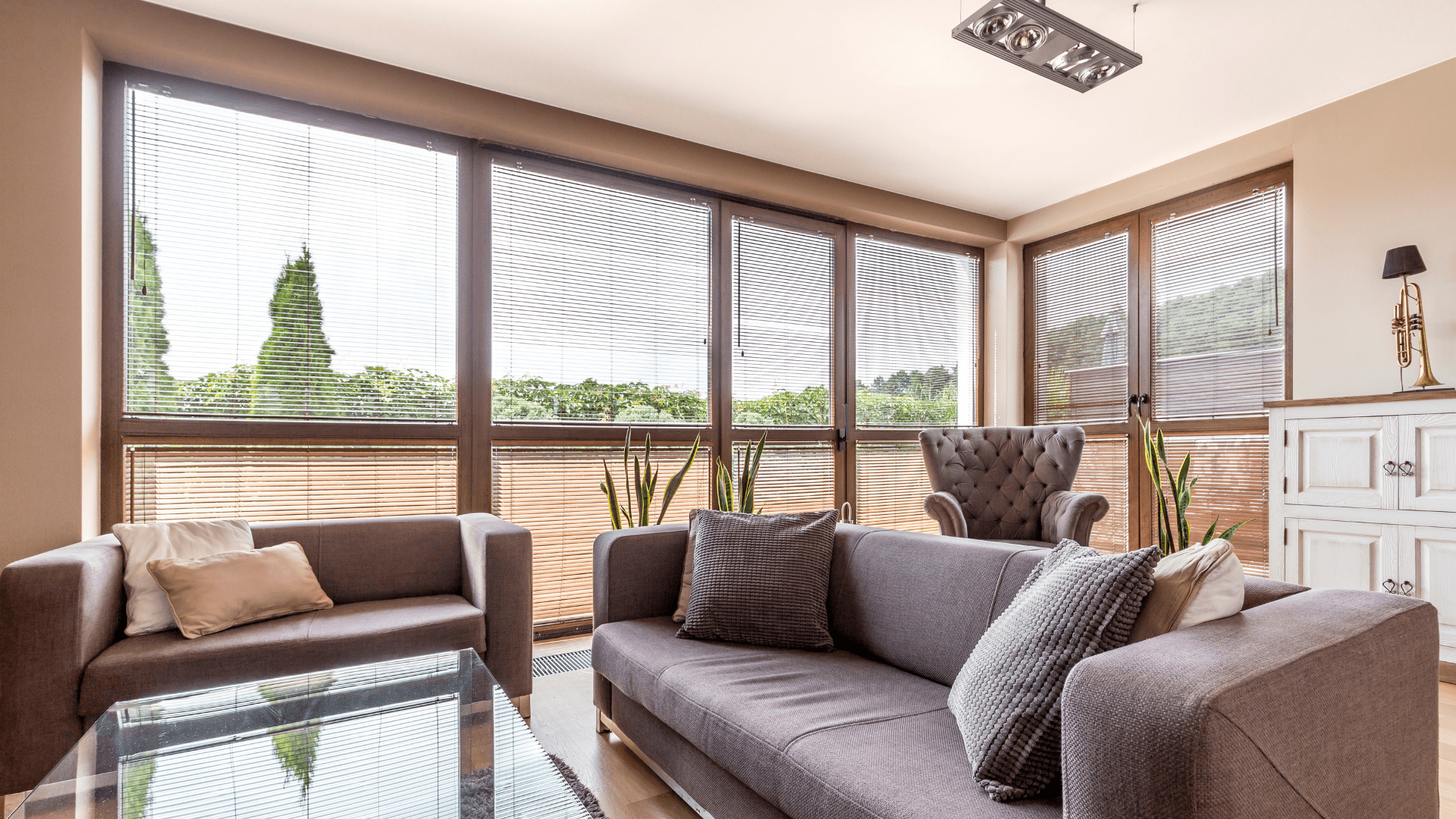 Types of Windows